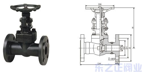 法蘭式鍛鋼閘閥