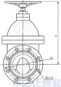 彈性座封閘閥外形圖 彈性座封閘閥外形圖