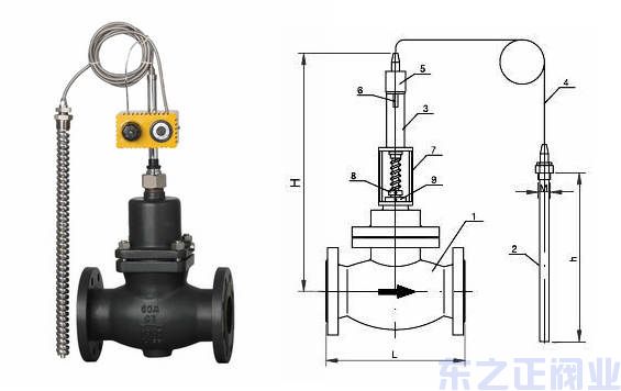 自力式溫度調節閥結構圖 自力式溫度調節閥結構圖